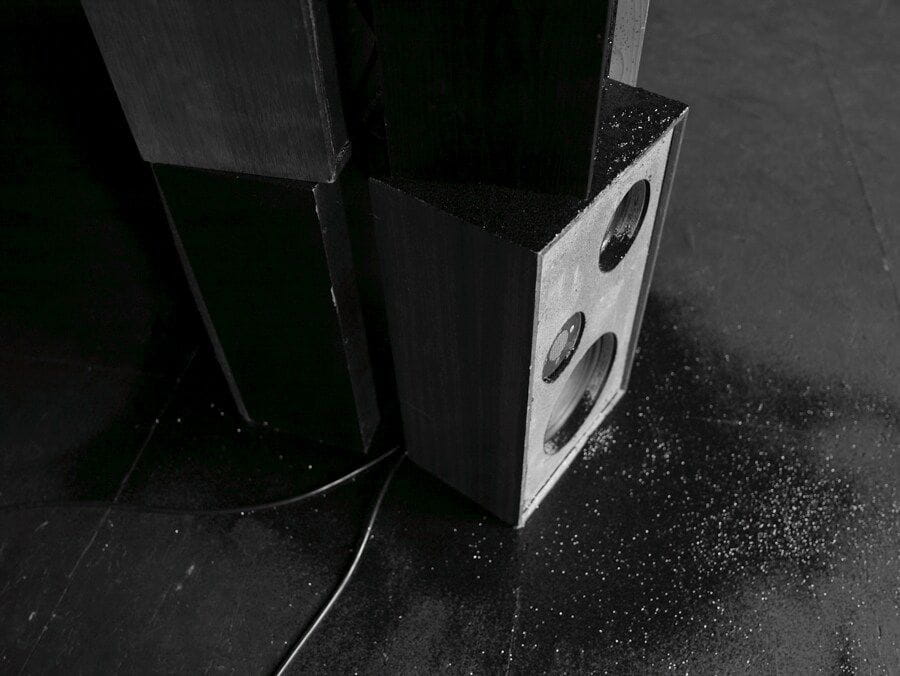 HEDI SLIMANE DIARY -